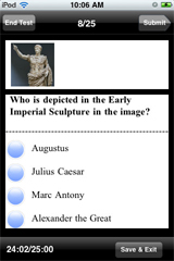 Sample View of AP Art History Exam Prep1